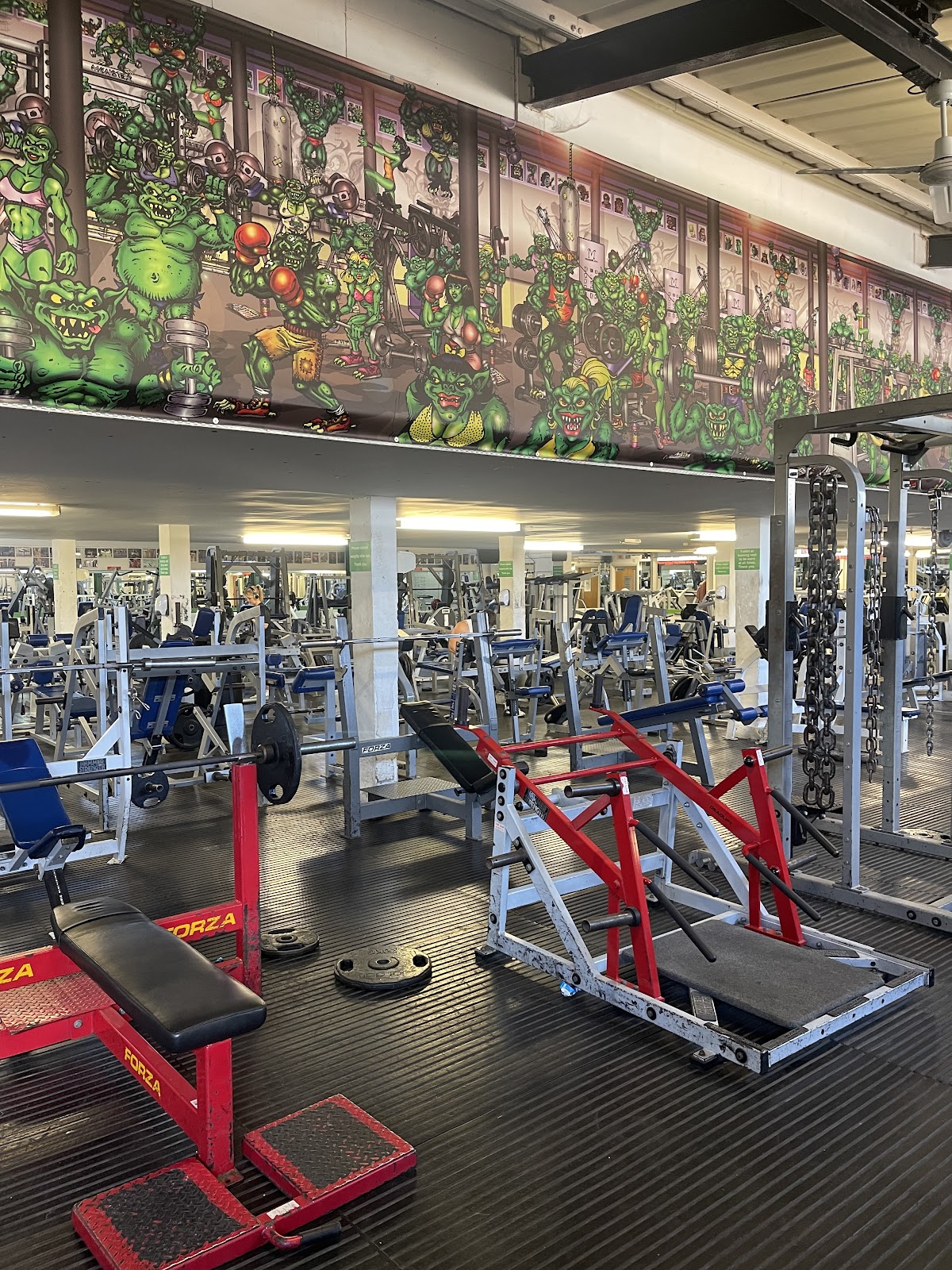 Monster Gym