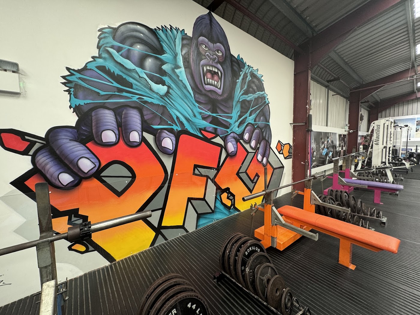 Performance Fitness Gym