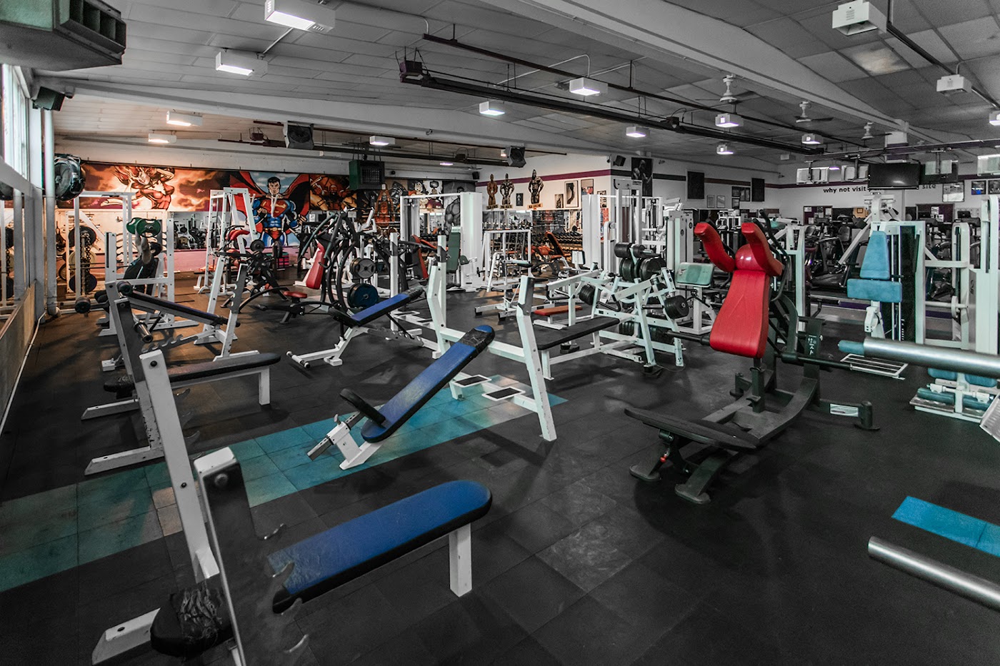 UltraFlex West London