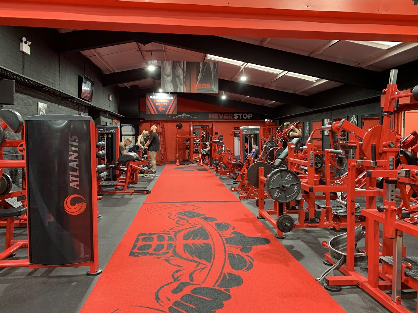 UltraFlex York